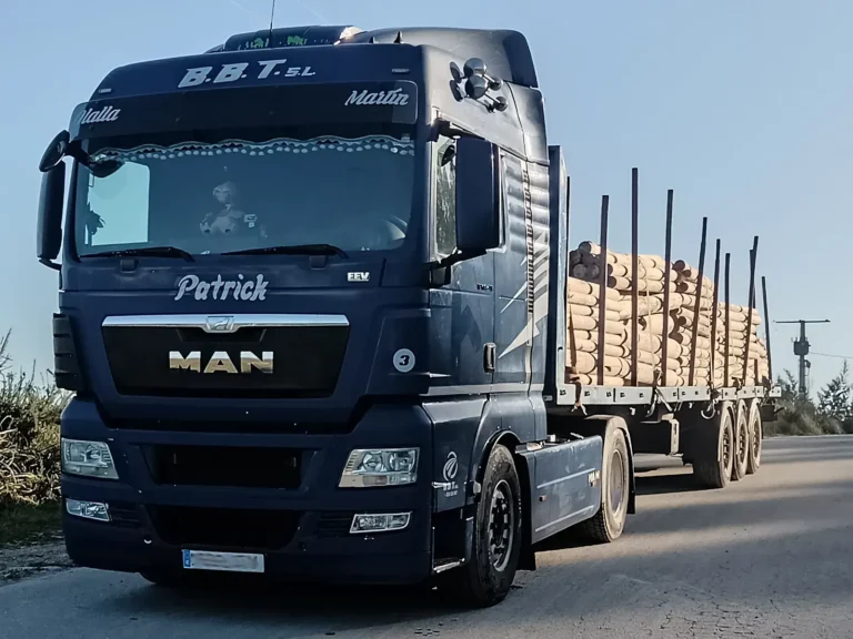 transporte madera trabajos forestales bbt santiago